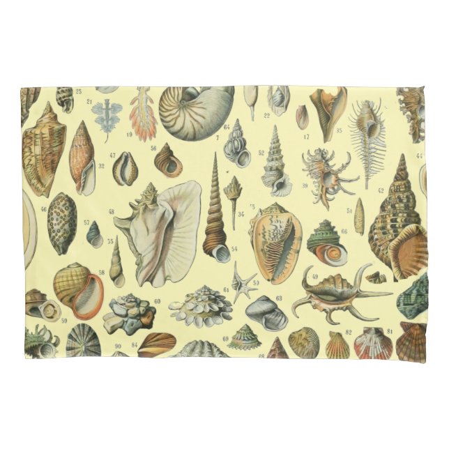 Seashell Shell Mollusk Clam Elegant Classic Art Pillow Case (Front)