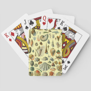 Seashell Shell Mollusk Clam Elegant Classic Art Poker Cards