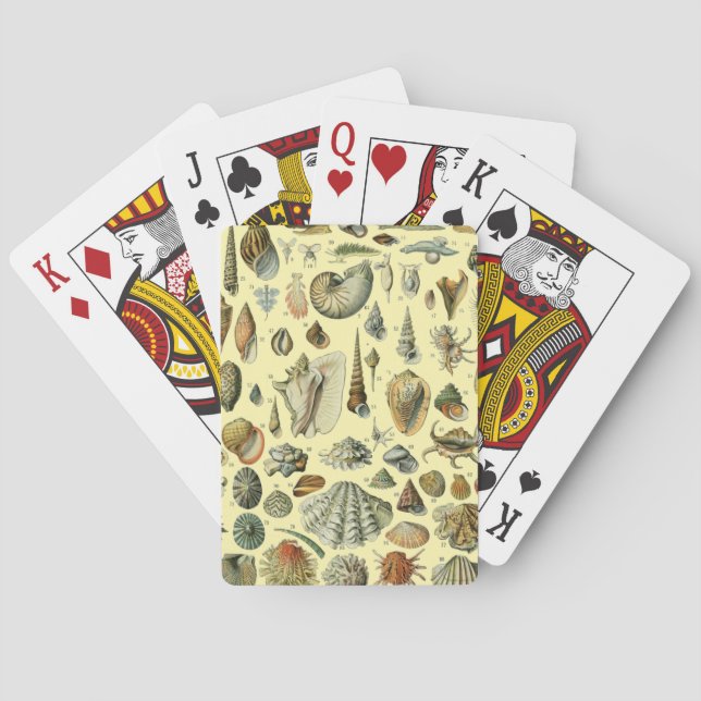 Seashell Shell Mollusk Clam Elegant Classic Art Poker Cards (Back)