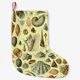 Seashell Shell Mollusk Clam Elegant Classic Art Small Christmas Stocking
