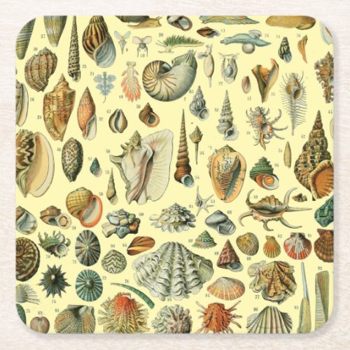 Seashell Shell Mollusk Clam Elegant Classic Art Square Paper Coaster