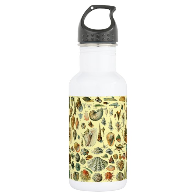 Seashell Shell Mollusk Clam Elegant Classic Art Stainless Steel Water Bottle (Front)