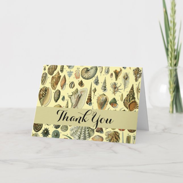 Seashell Shell Mollusk Clam Elegant Classic Art Thank You Card (Front)