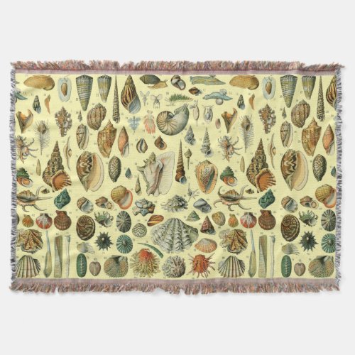 Seashell Shell Mollusk Clam Elegant Classic Art Throw Blanket