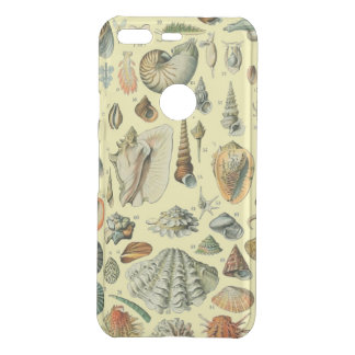 Seashell Shell Mollusk Clam Elegant Classic Art Uncommon Google Pixel Case