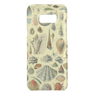Seashell Shell Mollusk Clam Elegant Classic Art Uncommon Samsung Galaxy S8+ Case