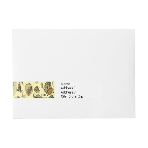 Seashell Shell Mollusk Clam Elegant Classic Art Wrap Around Address Label