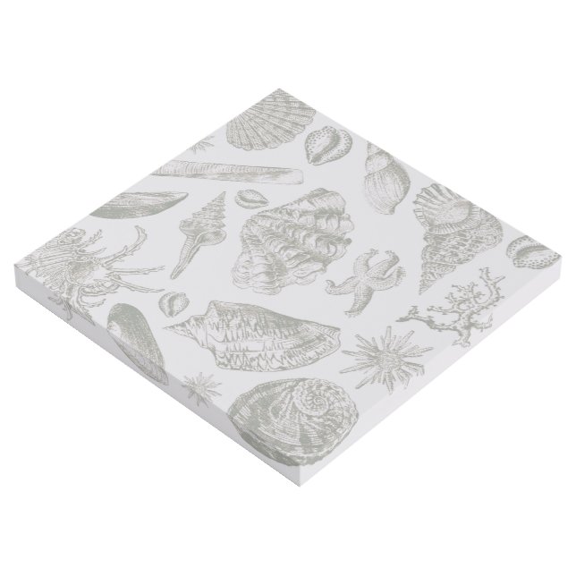 Seashell Soft Antique Art Beach Shells (3/4)