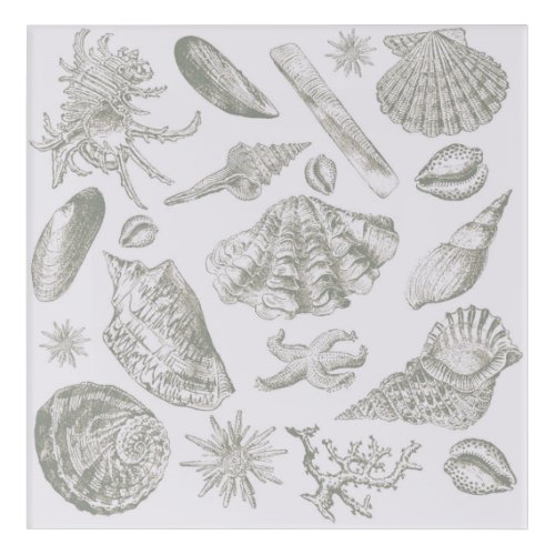 Seashell Soft Antique Art Beach Shells
