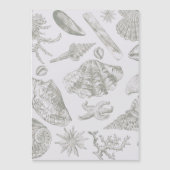 Seashell Soft Antique Art Beach Shells (Front)