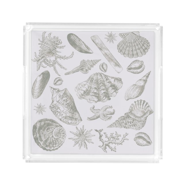 Seashell Soft Antique Art Beach Shells Acrylic Tray (Front)