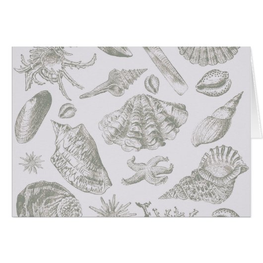Seashell Soft Antique Art Beach Shells Cards (Front Horizontal)