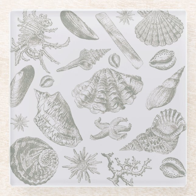 Seashell Soft Antique Art Beach Shells Glass Coaster (Front)