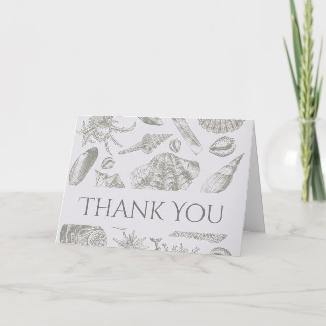 Seashell Soft Antique Art Beach Shells Letterpress Thank You Card (Front)