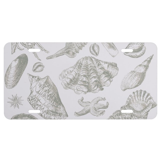 Seashell Soft Antique Art Beach Shells License Plate (Front)