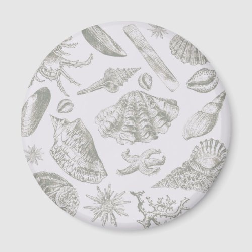 Seashell Soft Antique Art Beach Shells Magnet