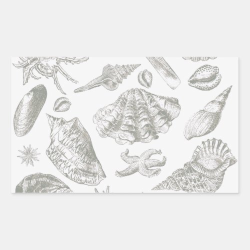 Seashell Soft Antique Art Beach Shells Rectangular Sticker