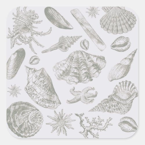 Seashell Soft Antique Art Beach Shells Square Sticker