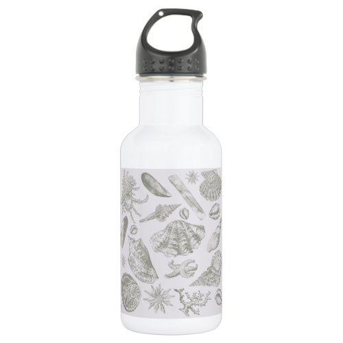 Seashell Soft Antique Art Beach Shells Stainless Steel Water Bottle