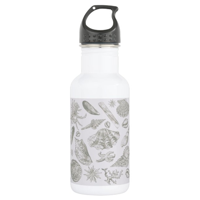 Seashell Soft Antique Art Beach Shells Stainless Steel Water Bottle (Front)