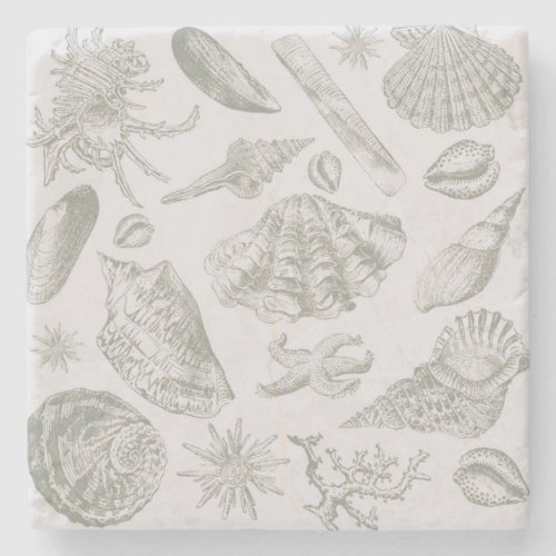 Seashell Soft Antique Art Beach Shells Stone Coaster