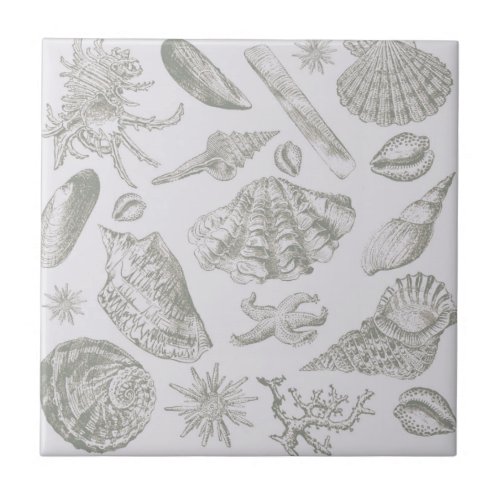 Seashell Soft Antique Art Beach Shells Tile