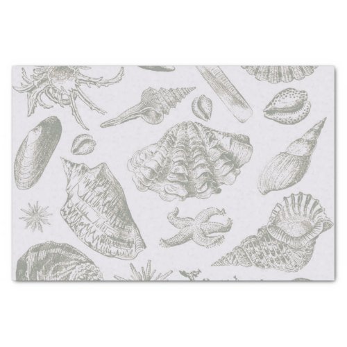 Seashell Soft Antique Art Beach Shells Tissue Paper