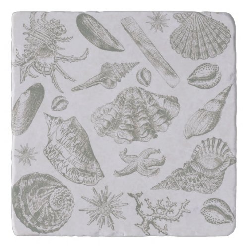 Seashell Soft Antique Art Beach Shells Trivet