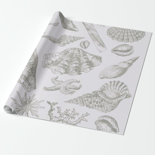 Seashell Soft Antique Art Beach Shells Wrapping Paper