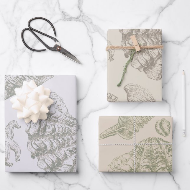 Seashell Soft Antique Art Beach Shells Wrapping Paper Sheets (Front)