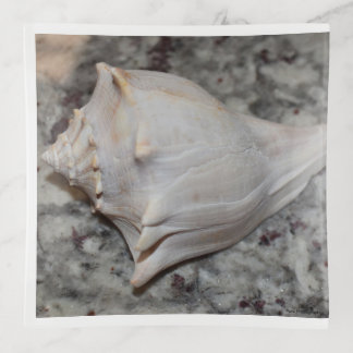 Seashell Square Trinket Tray
