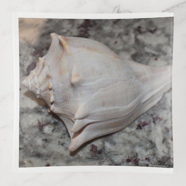 Seashell Square Trinket Tray (Front)
