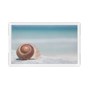 Seashell   St. Petersburg, Florida Acrylic Tray