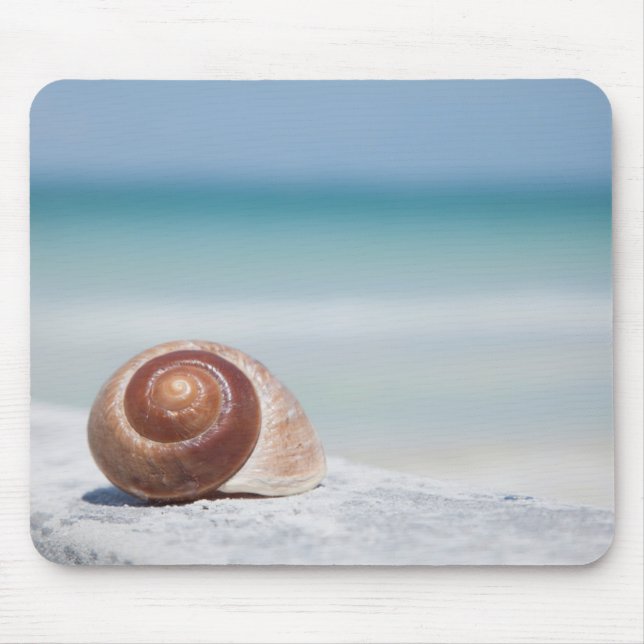 Seashell | St. Petersburg, Florida Mouse Pad (Front)