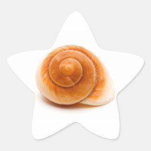 Seashell Star Sticker