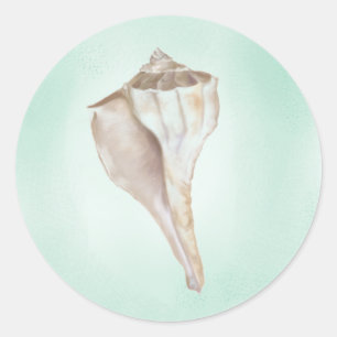 Seashell Sticker