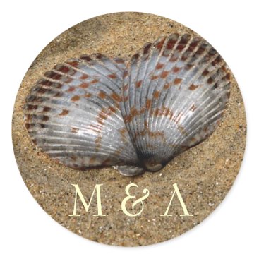seashell stickers