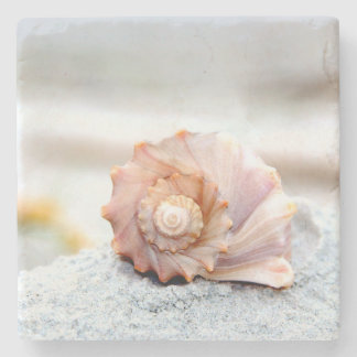 Seashell Stone Coaster