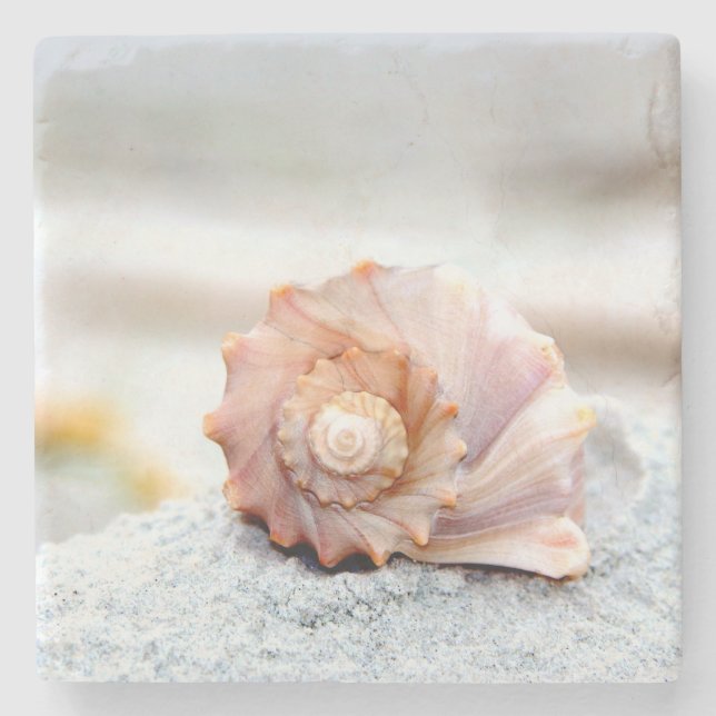 Seashell Stone Coaster (Front)