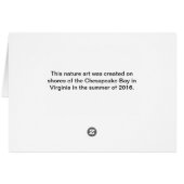 Seashell summer nature art mandala cards (Back Horizontal)
