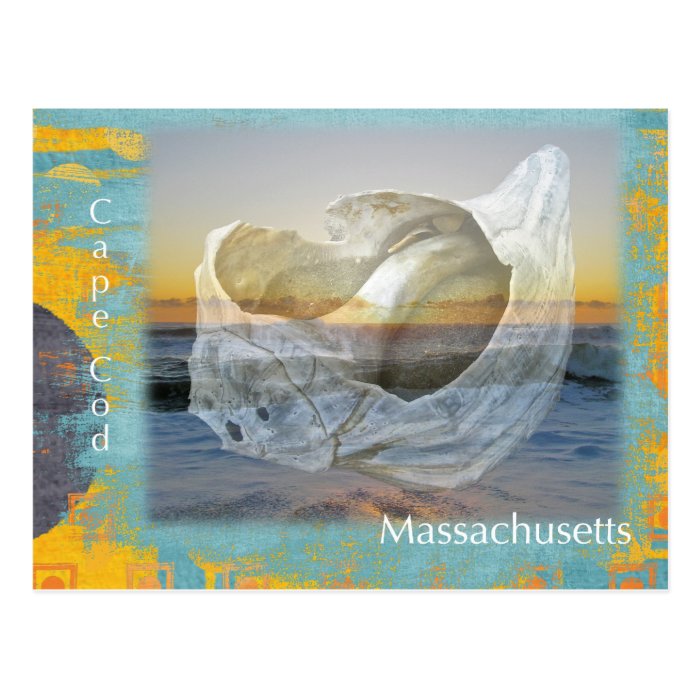 Seashell & Surf   Cape Cod Massachusetts Postcards