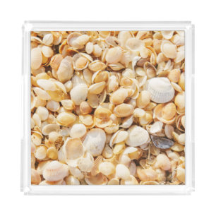 Seashell textured summer beach background. acrylic tray