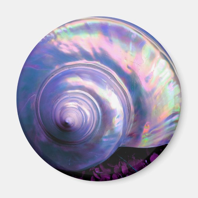 Seashell tropical opal mother of pearl look purple magnet (Front)