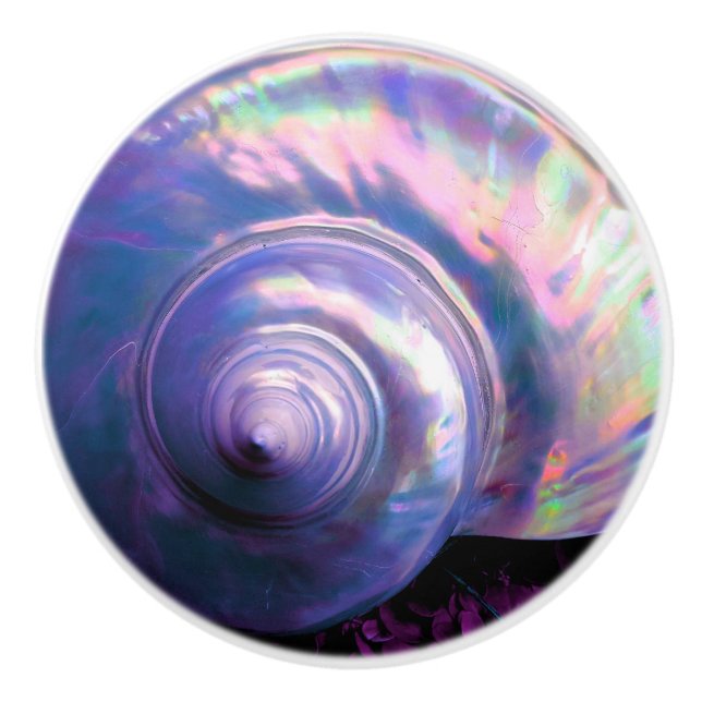Seashell tropical opalescent mother of pearl look ceramic knob (Front)