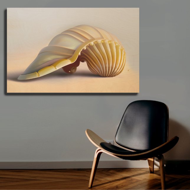 Seashell Wall Art Nature Inspired Decor (Creator Uploaded)