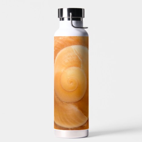 Seashell Water Bottle