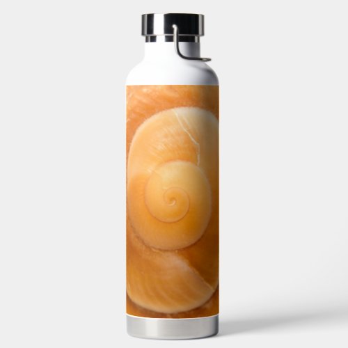 Seashell Water Bottle