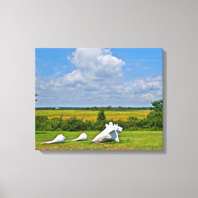 Seashell Wrapped Canvas Print (Front)