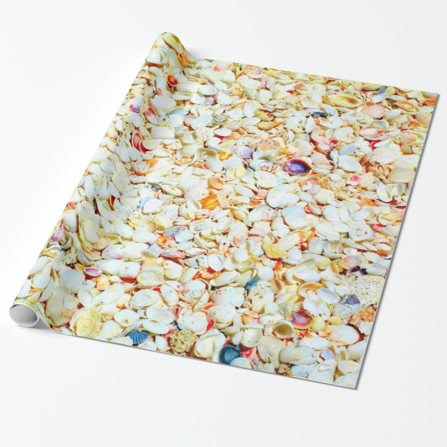 Seashell Wrapping Paper (Unrolled)