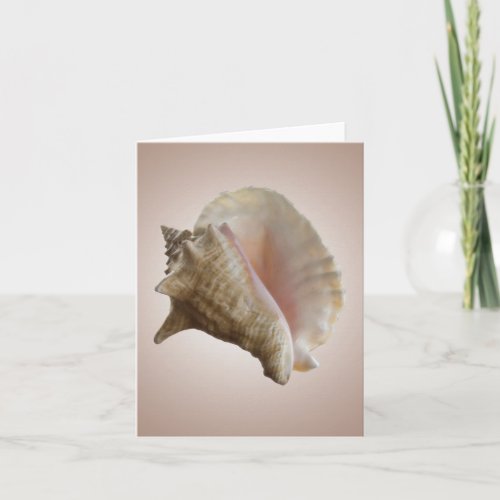 Seashelll Note Card